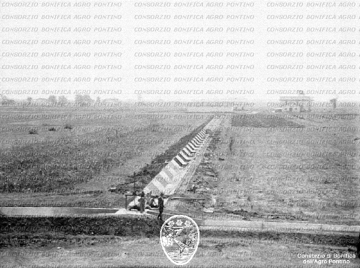PONTINO/BOR002198.jpg
