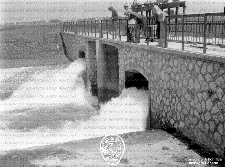 PONTINO/BOR002199.jpg