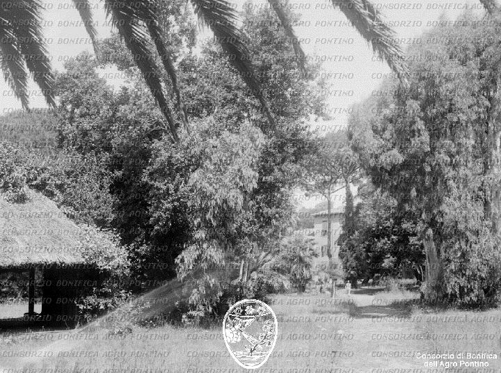 PONTINO/BOR002204.jpg