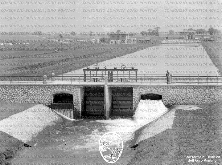 PONTINO/BOR002206.jpg