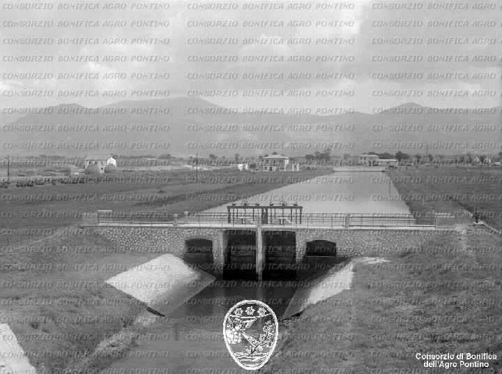PONTINO/BOR002218.jpg