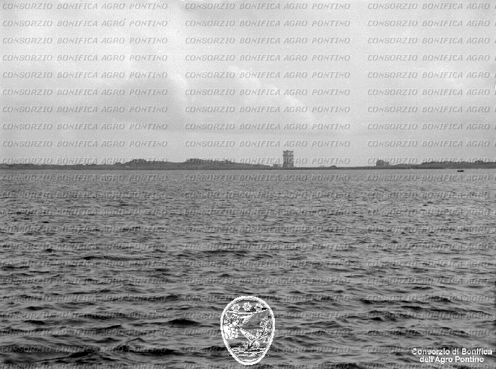 PONTINO/BOR002219.jpg