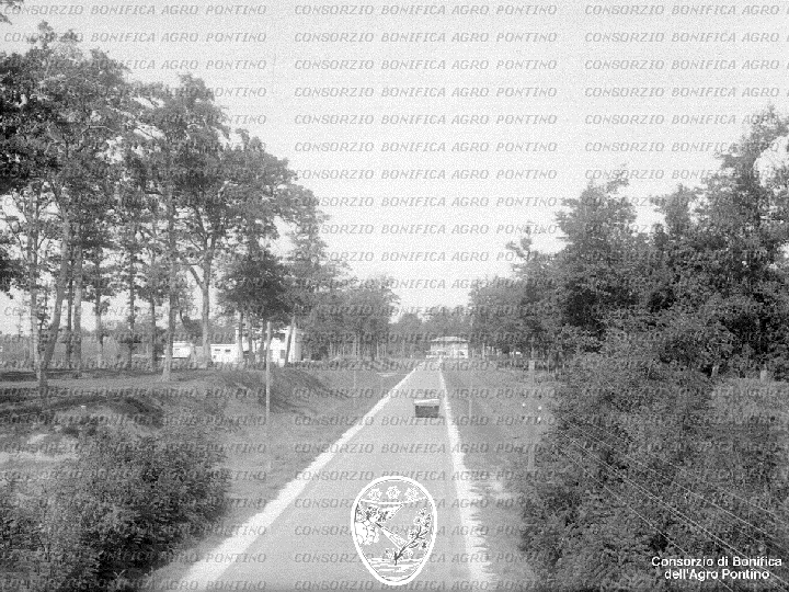 PONTINO/BOR002232.jpg