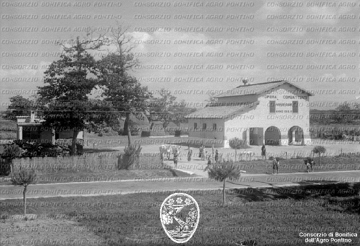 PONTINO/BOR002234.jpg