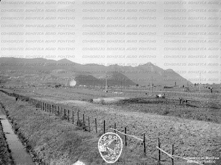 PONTINO/BOR002236.jpg