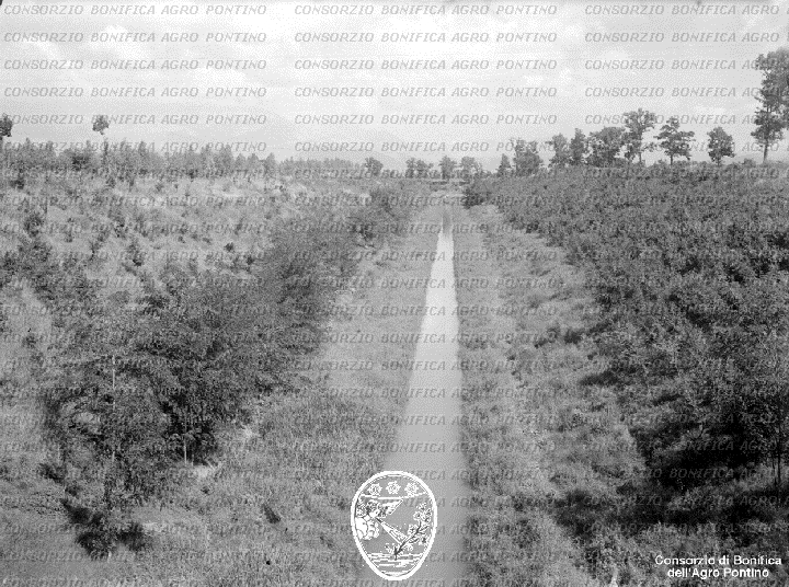 PONTINO/BOR002237.jpg