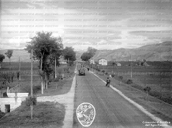 PONTINO/BOR002238.jpg