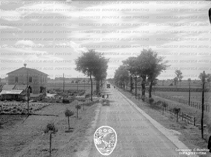 PONTINO/BOR002239.jpg