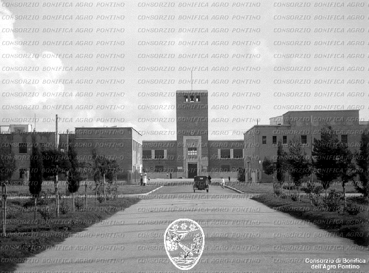 PONTINO/BOR002241.jpg