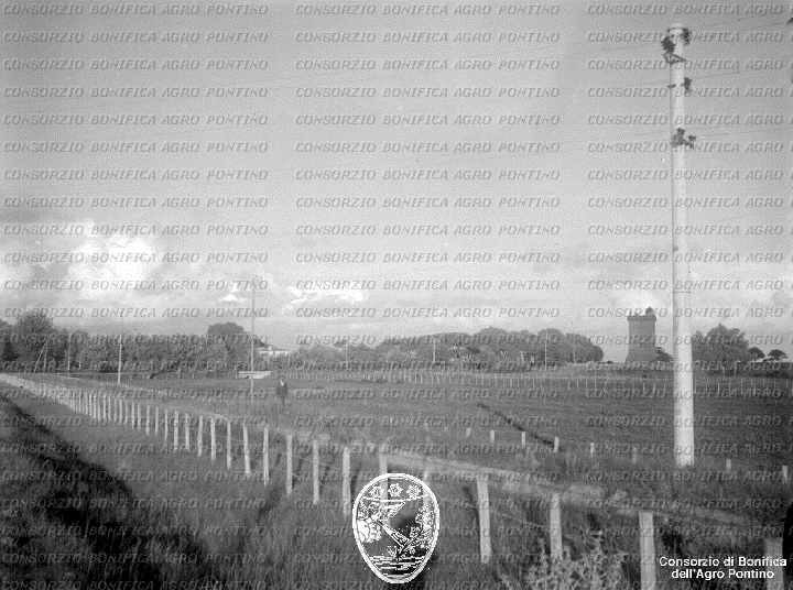 PONTINO/BOR002243.jpg