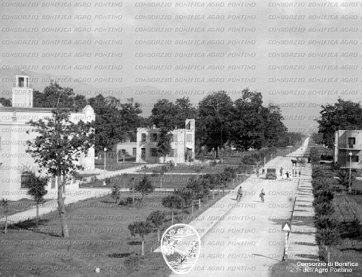 PONTINO/BOR002248.jpg