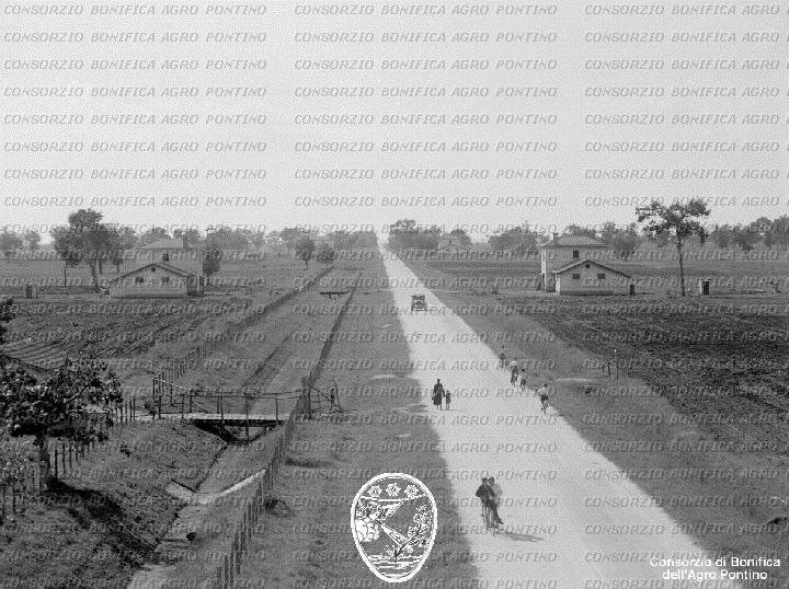 PONTINO/BOR002249.jpg