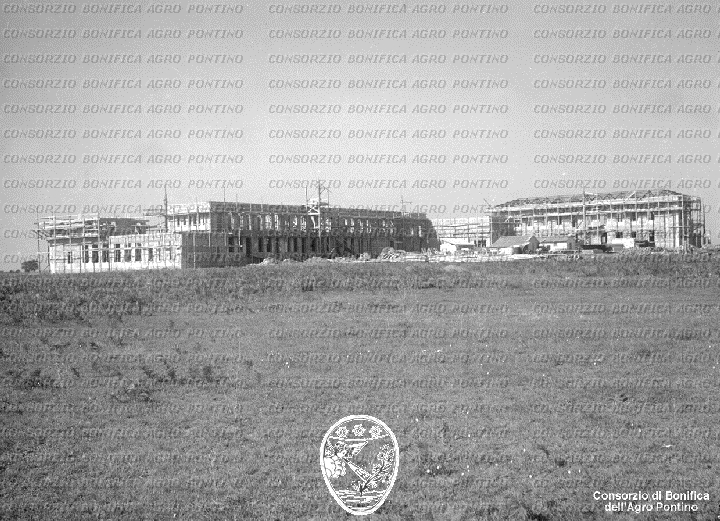 PONTINO/BOR002250.jpg