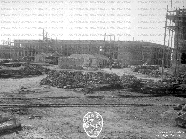 PONTINO/BOR002251.jpg