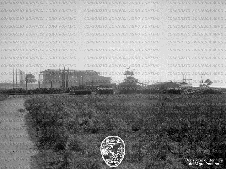 PONTINO/BOR002252.jpg