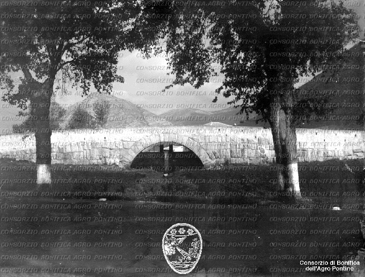 PONTINO/BOR002254.jpg