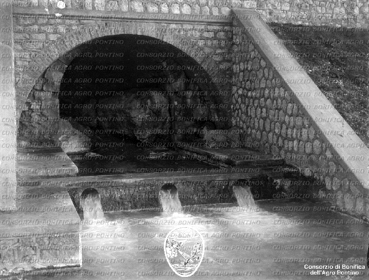 PONTINO/BOR002255.jpg