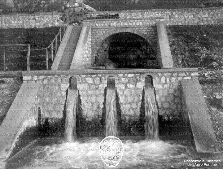 PONTINO/BOR002256.jpg