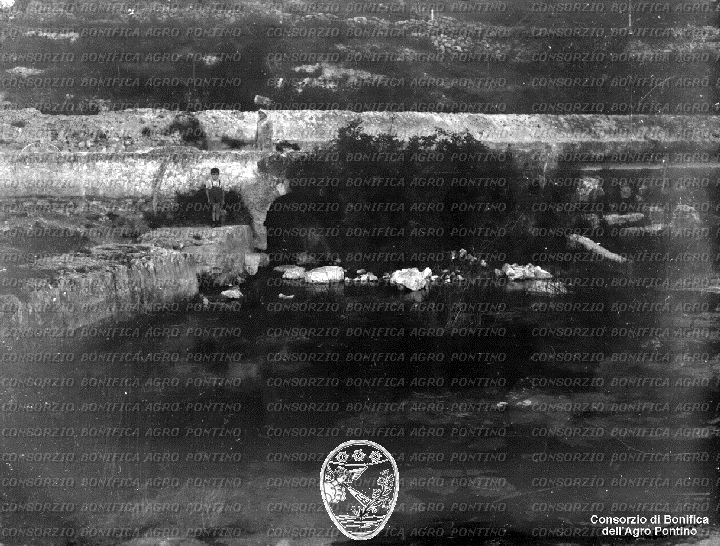 PONTINO/BOR002257.jpg