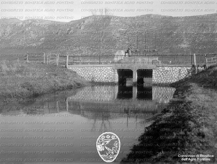 PONTINO/BOR002258.jpg