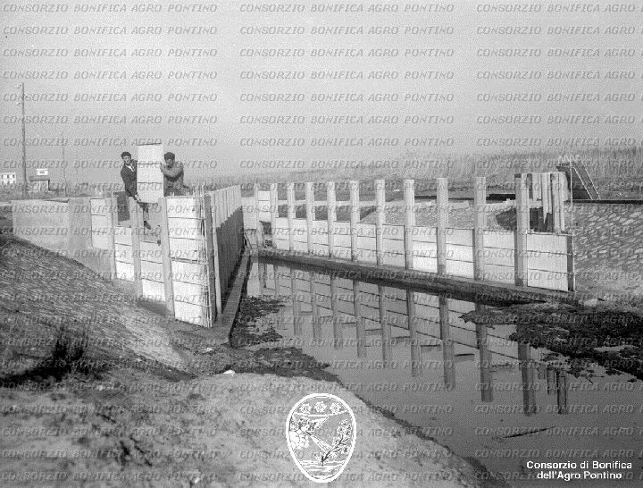 PONTINO/BOR002259.jpg