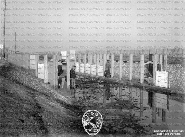 PONTINO/BOR002262.jpg