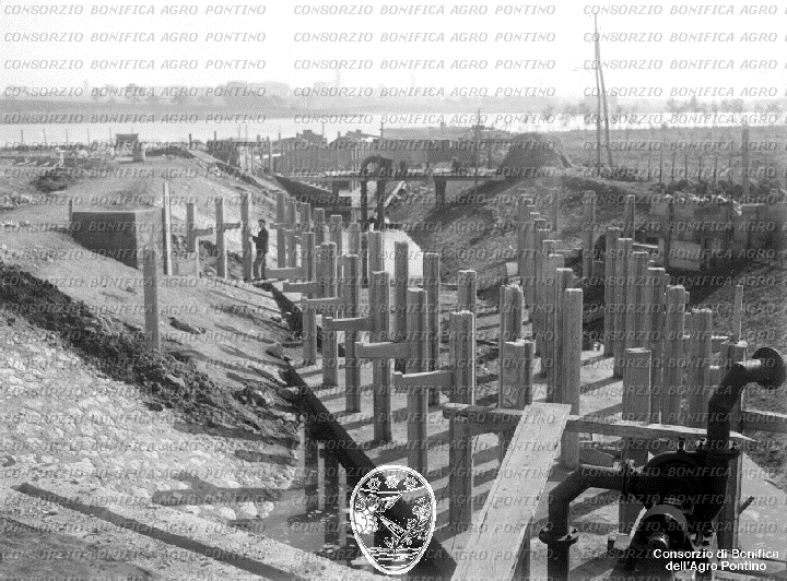 PONTINO/BOR002263.jpg