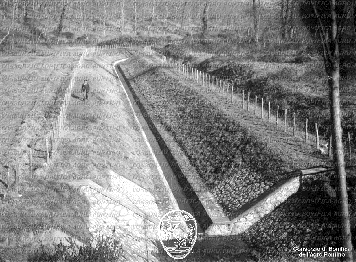 PONTINO/BOR002267.jpg