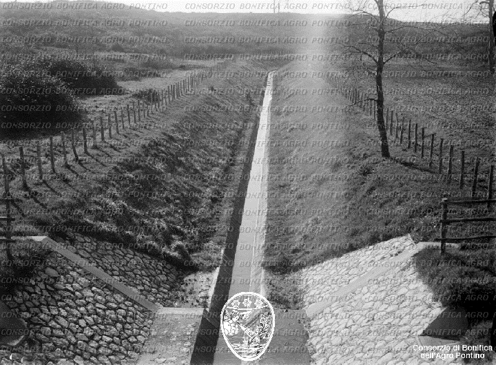 PONTINO/BOR002269.jpg