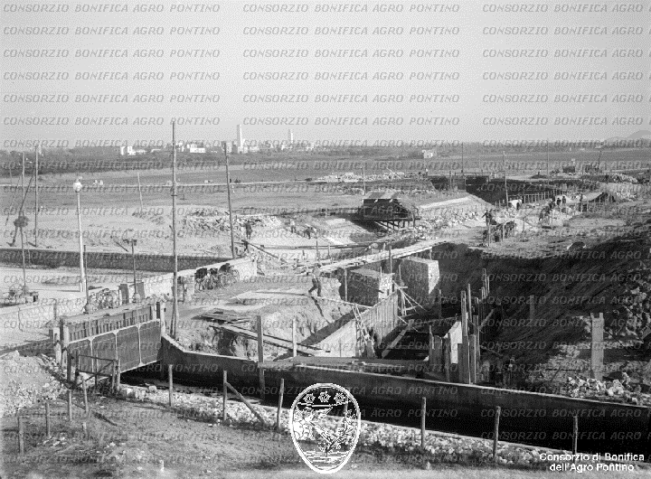 PONTINO/BOR002270.jpg