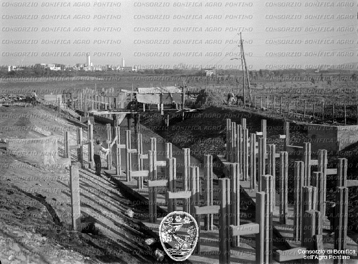 PONTINO/BOR002272.jpg
