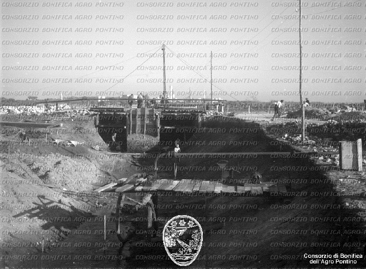 PONTINO/BOR002273.jpg