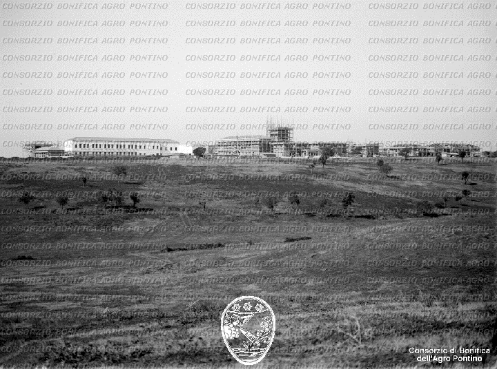 PONTINO/BOR002278.jpg