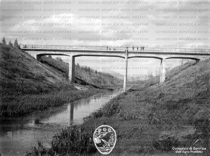PONTINO/BOR002279.jpg
