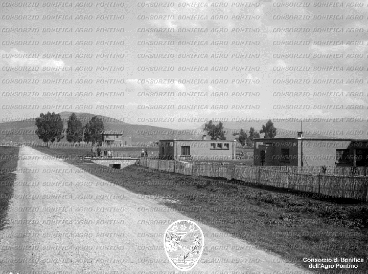 PONTINO/BOR002291.jpg