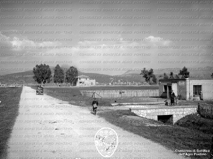 PONTINO/BOR002292.jpg