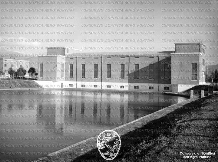 PONTINO/BOR002294.jpg