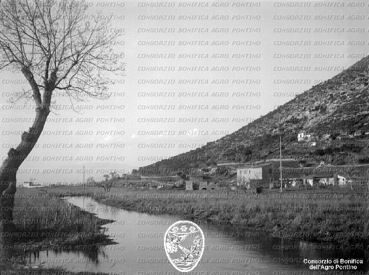 PONTINO/BOR002295.jpg