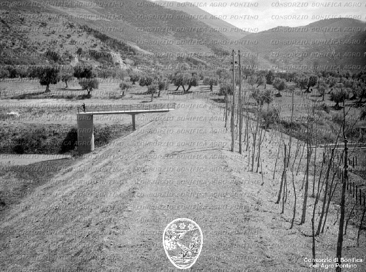 PONTINO/BOR002298.jpg