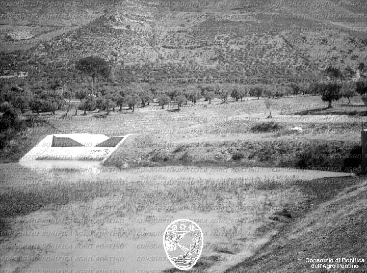 PONTINO/BOR002299.jpg