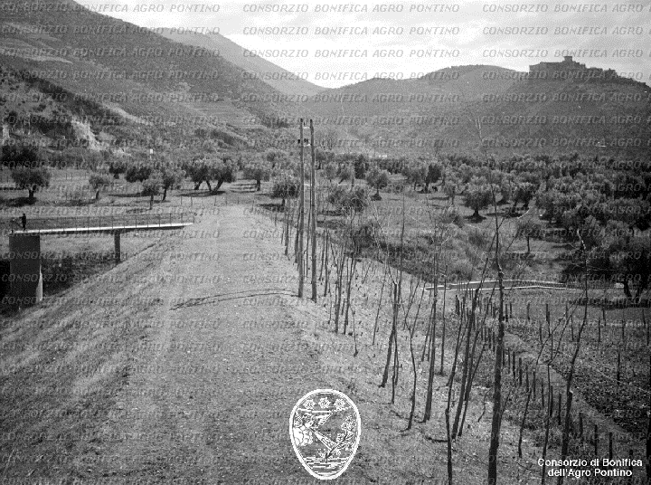 PONTINO/BOR002300.jpg