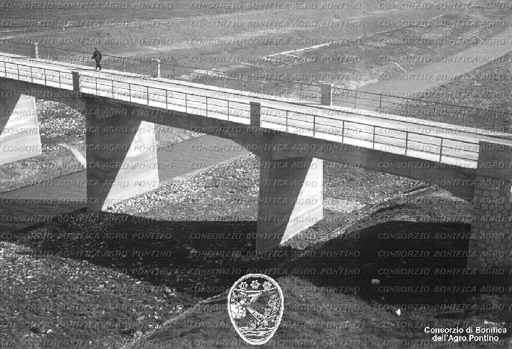 PONTINO/BOR002302.jpg