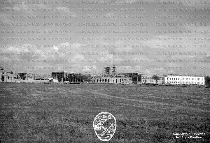 PONTINO/BOR002305.jpg