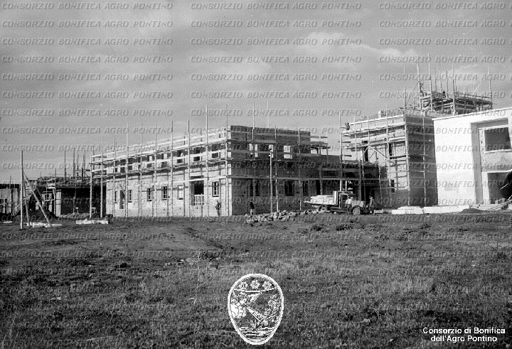 PONTINO/BOR002306.jpg