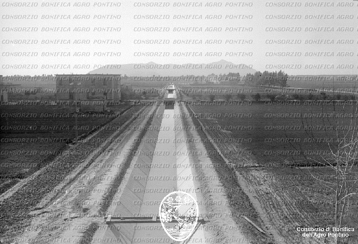 PONTINO/BOR002314.jpg