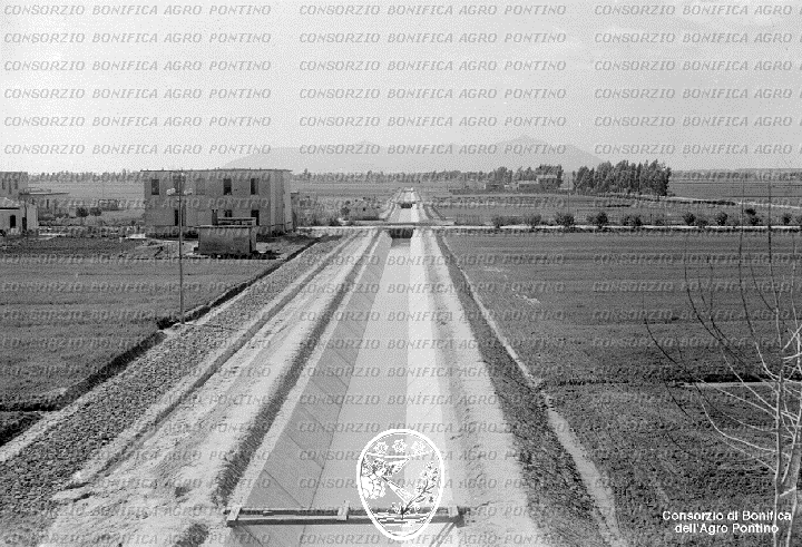 PONTINO/BOR002317.jpg