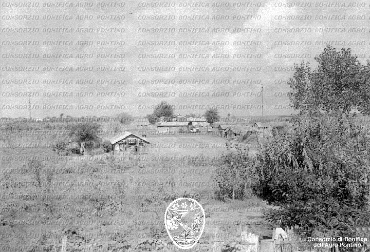 PONTINO/BOR002320.jpg