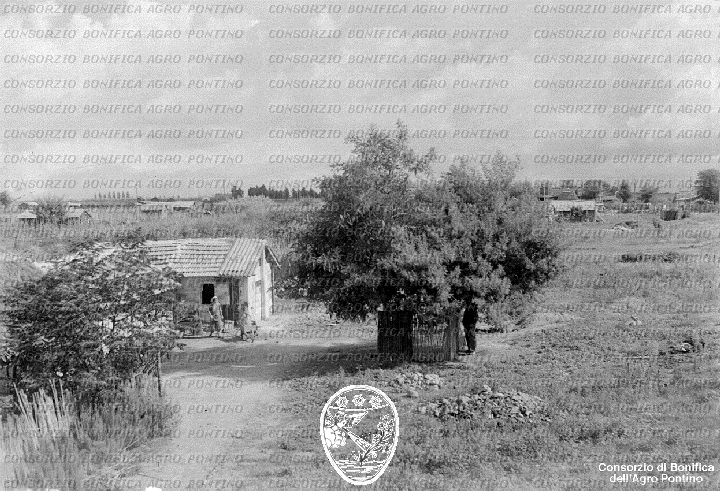PONTINO/BOR002321.jpg
