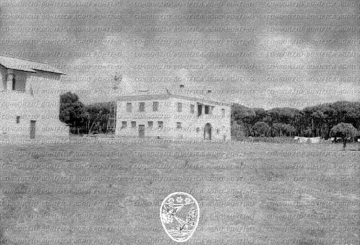 PONTINO/BOR002323.jpg