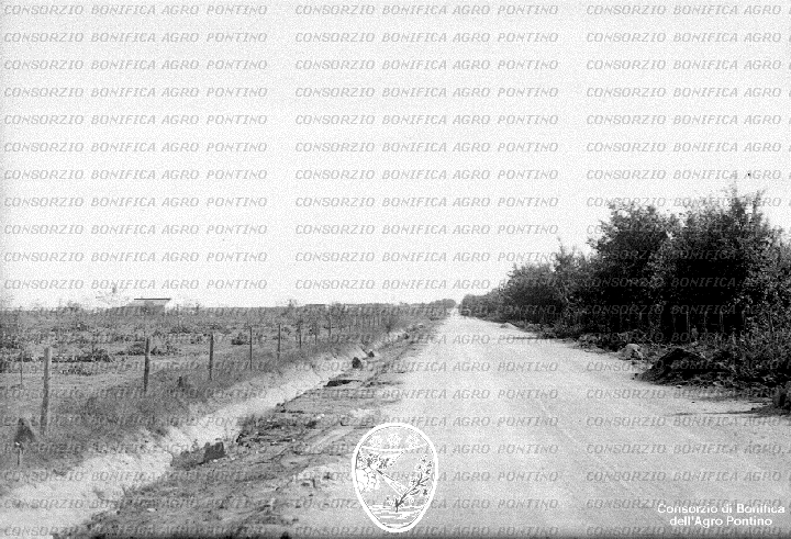 PONTINO/BOR002324.jpg